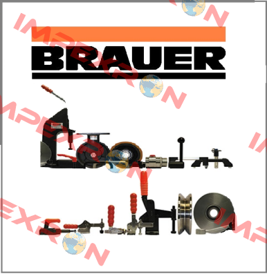 05887-08065 Brauer