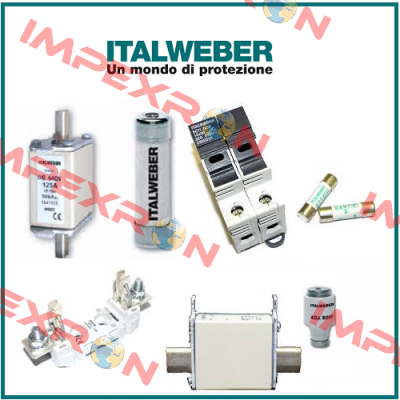 0100125  Italweber