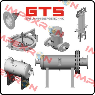 55-10016-1110 GTS-Thielmann Energietechnik