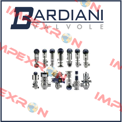 B925 DN 11851 TYP TT AISI 316L (1.4404) DN50 (2") 4-90°TT Bardiani Valvole