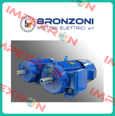 IE2M4003A1100  Bronzoni