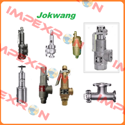 FF100-C-3/4"D1"-A11-212-CN2 12BARG  Jokwang