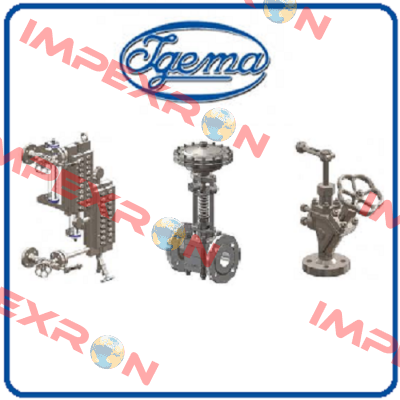 40-00205 Igema