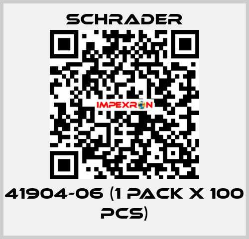 41904-06 (1 pack x 100 pcs) Schrader