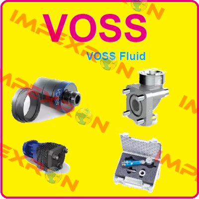 0118902007 Voss