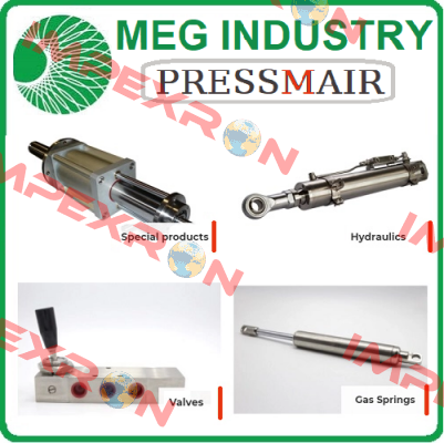 V 43 F R BSP Meg Industry (Pressmair)