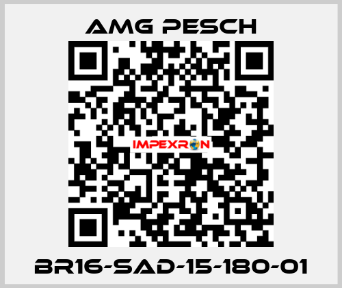 BR16-SAD-15-180-01 AMG Pesch