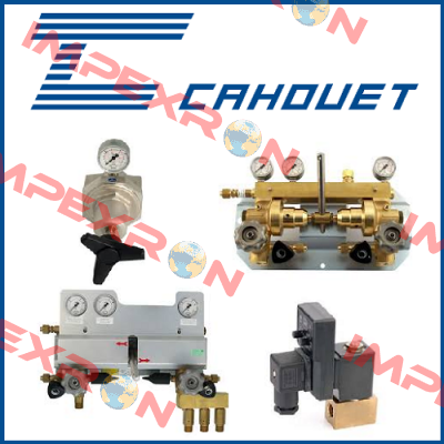 RV1101 Cahouet