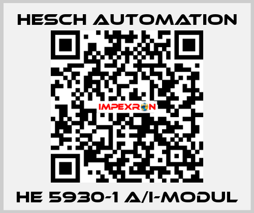 HE 5930-1 A/I-Modul Hesch Automation