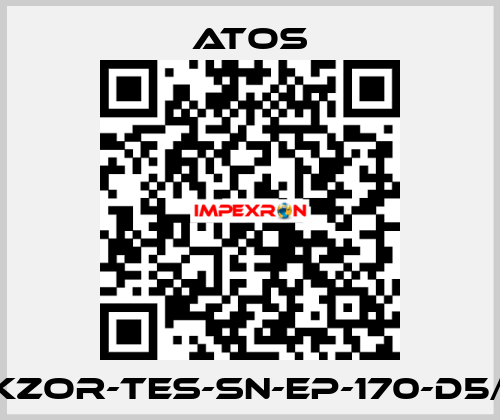 DKZOR-TES-SN-EP-170-D5/FI Atos