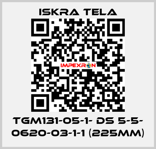 TGM131-05-1- DS 5-5- 0620-03-1-1 (225mm) ISKRA TELA