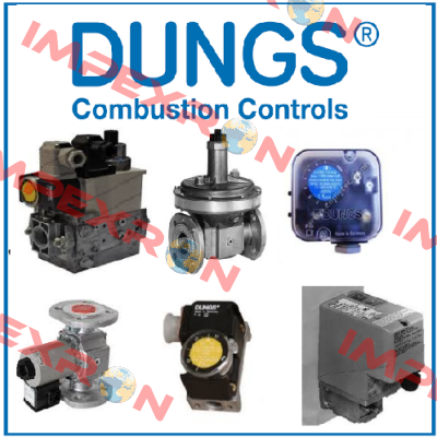 control segment for LGW 50 A2P Dungs