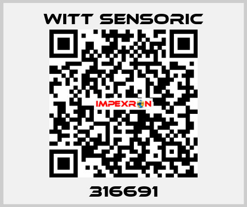 316691 Witt Sensoric