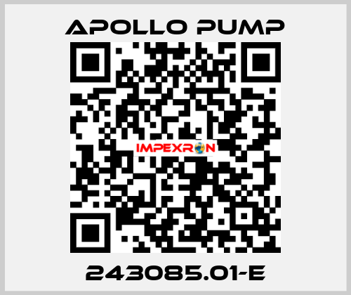 243085.01-E Apollo pump