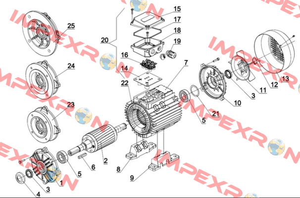 13130000A03D Cantoni